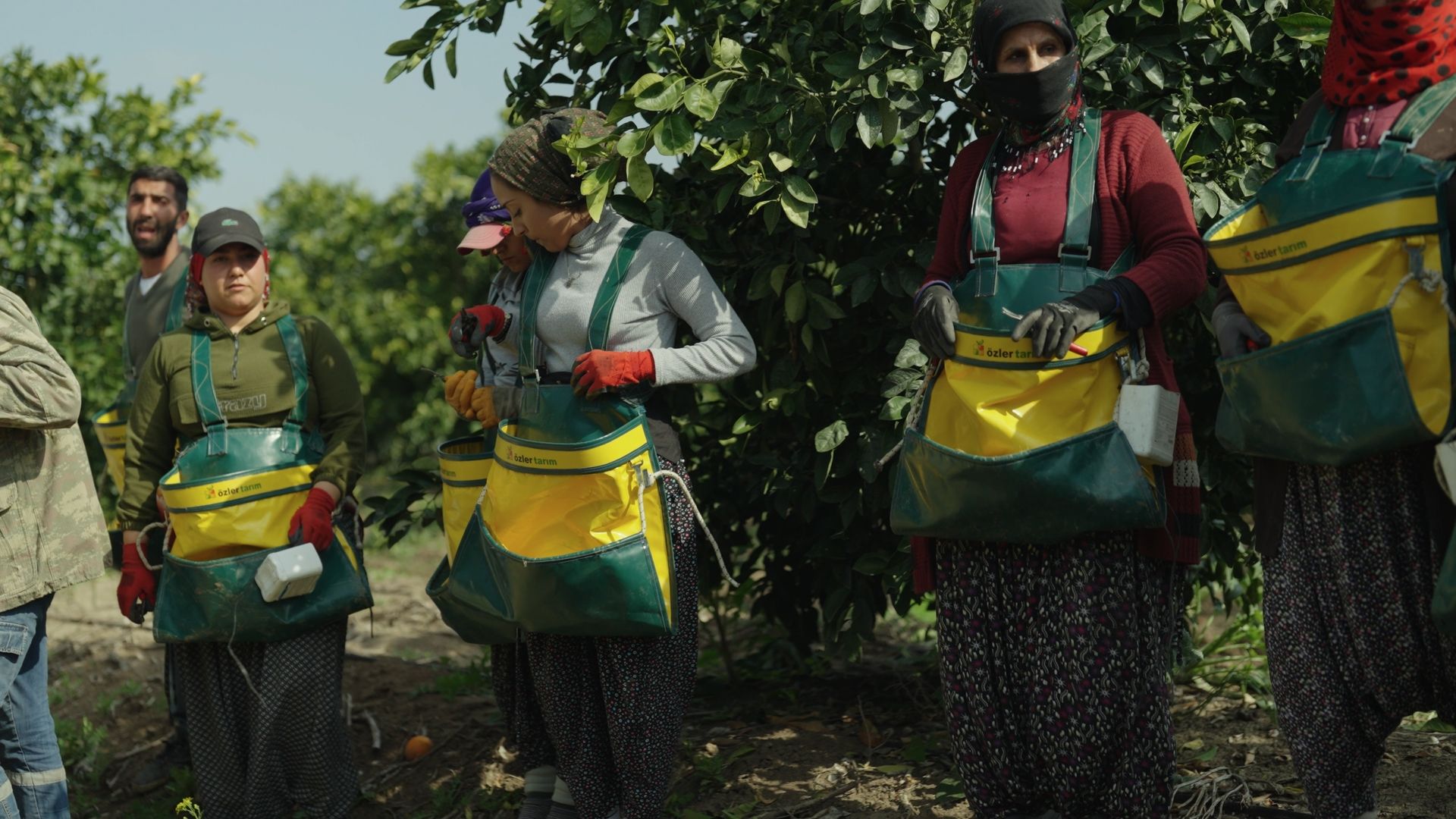 Still from AKIB — Fresh From Türkiye